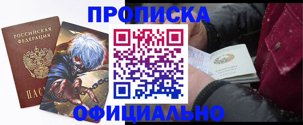 пропишу в квартире в Санкт-Петербурге